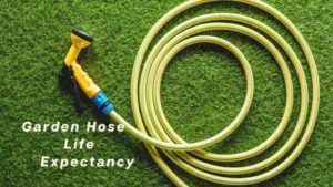 Life hose expectancy, how long does a garden hose last, yellow hose with nozzle laying on the grass