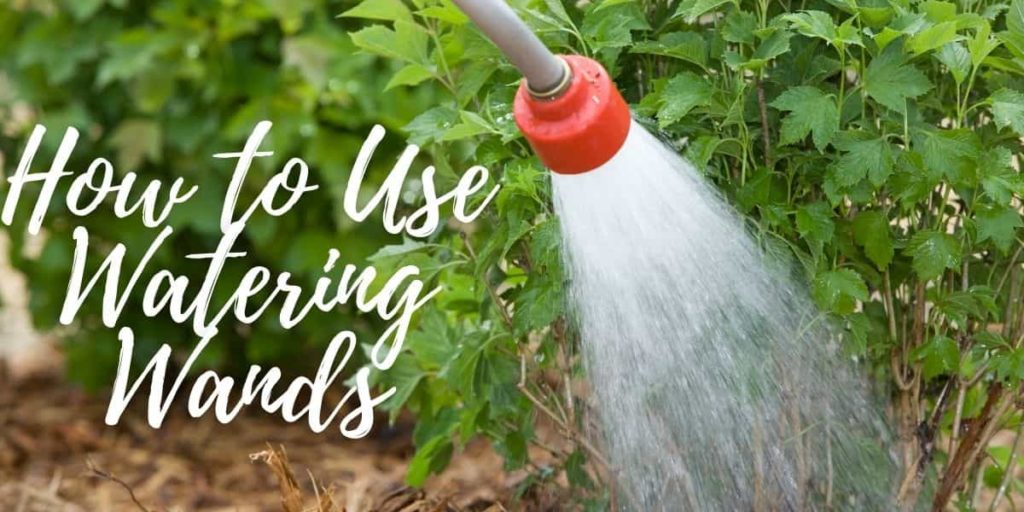 How to use a Watering Wand for Garden Hose