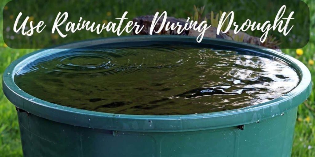 use rainwater and rain barrels during drought